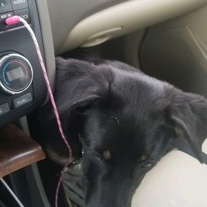 Meet your Posher, Jamie